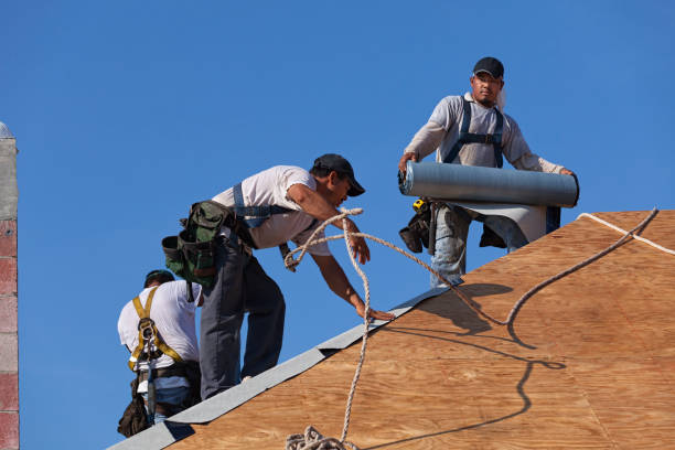 Best Roof Gutter Cleaning  in Somerville, TN