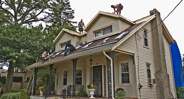 Best Shingle Roofing Installation  in Somerville, TN