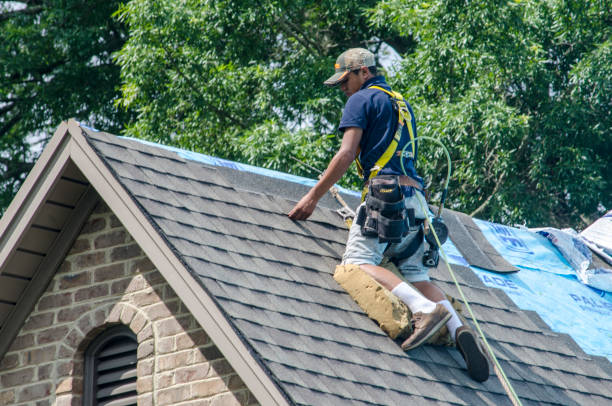 Best New Roof Installation  in Somerville, TN